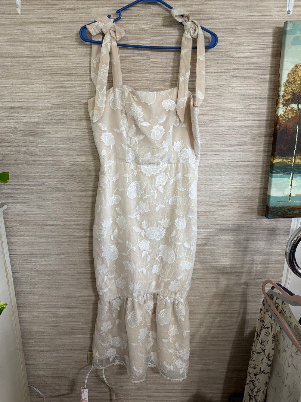 Mestiza New York Women's Sheer overlay dress size 8